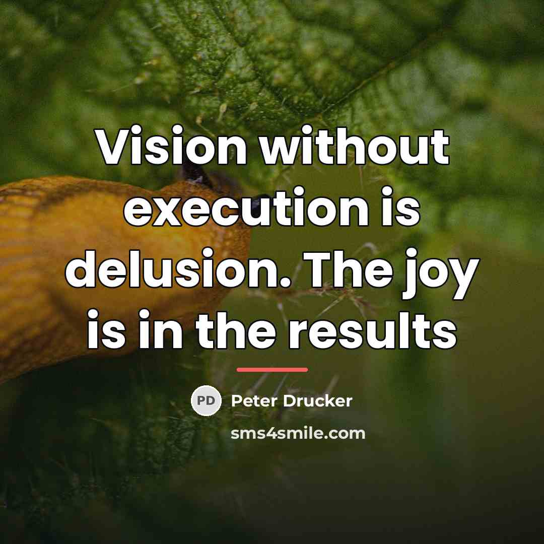 “Vision without execution is delusion. The joy is in the…” quote by Peter Drucker
