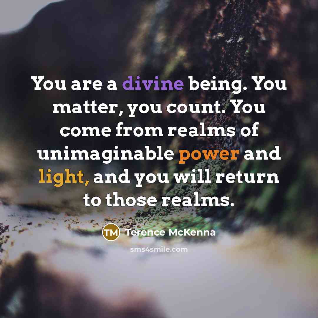 “You are a divine being. You matter, you count. You come from realms of unimaginable power and light, and you will return to those realms.” quote by Terence McKenna