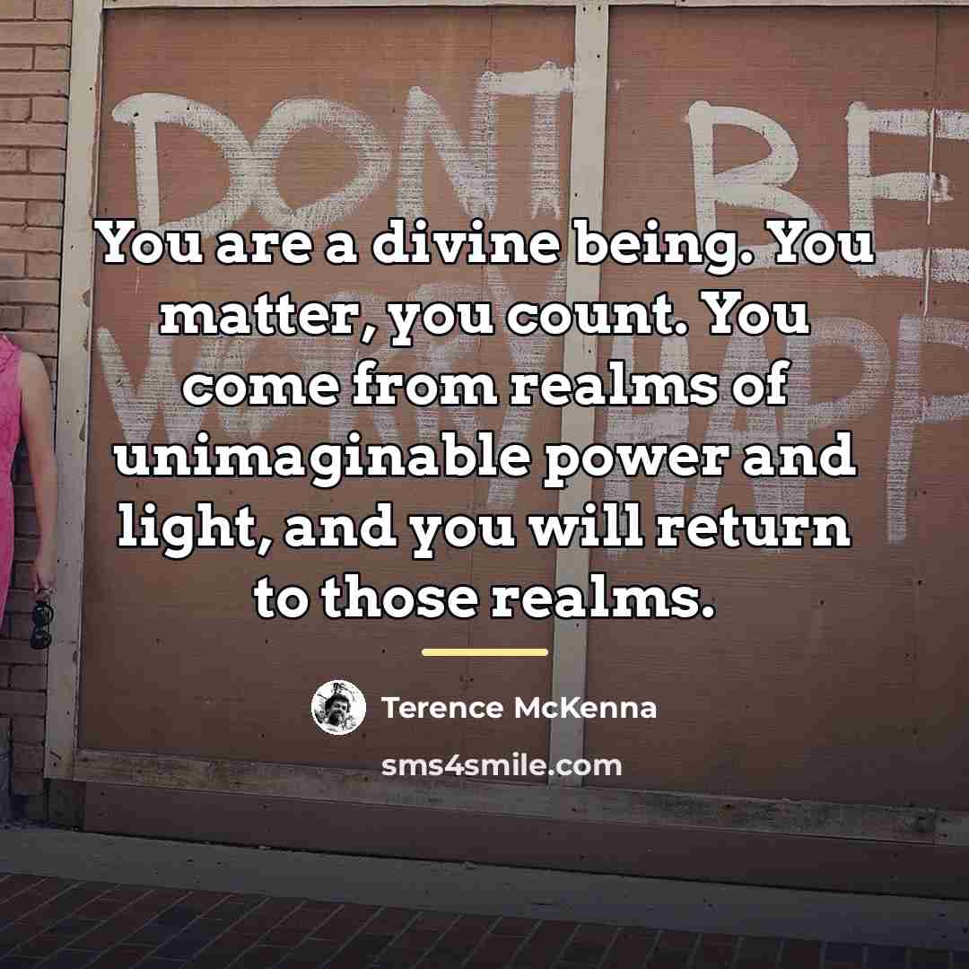 “You are a divine being. You matter, you count. You…” quote by Terence McKenna