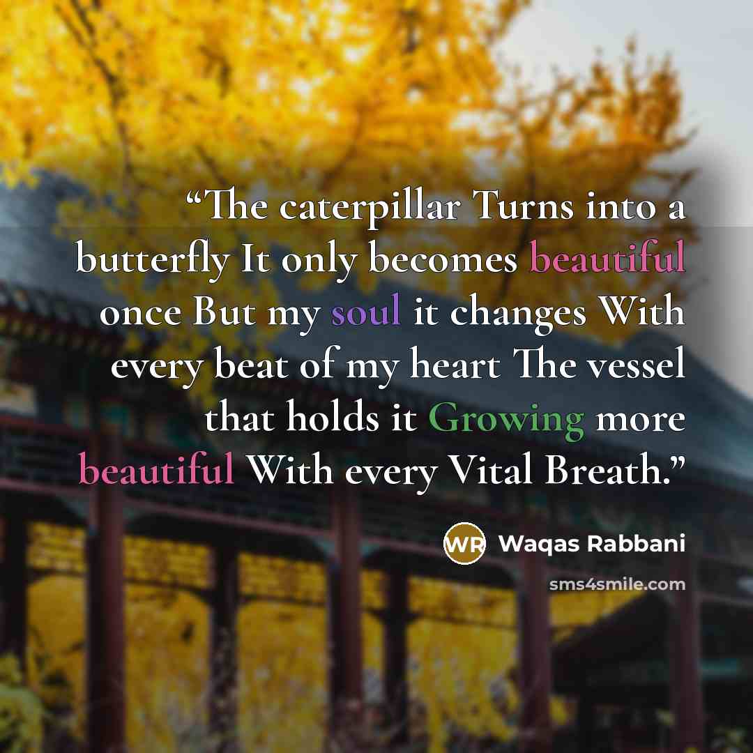 “The caterpillar Turns into a butterfly It only becomes beautiful once But my soul it changes With every beat of my heart The vessel that holds it Growing more beautiful With every Vital Breath.” quote by Waqas Rabbani
