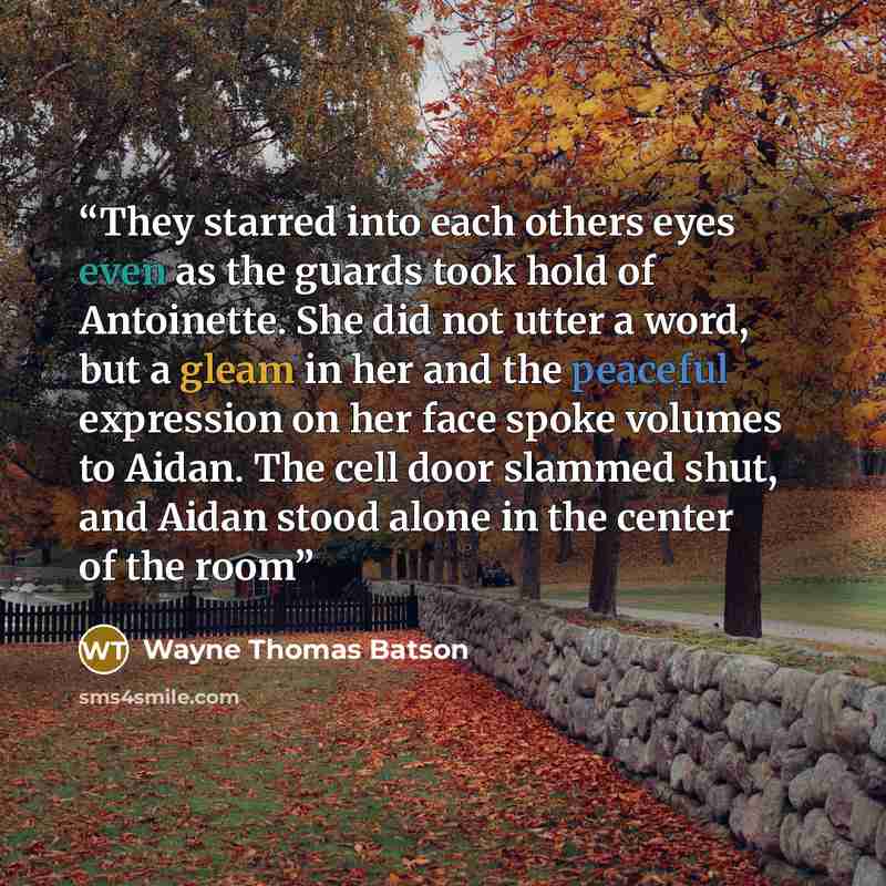 “They starred into each others eyes even as the guards took hold of Antoinette. She did not utter a word, but a gleam in her and the peaceful expression on her face spoke volumes to Aidan. The cell door slammed shut, and Aidan stood alone in the center of the room” quote by Wayne Thomas Batson