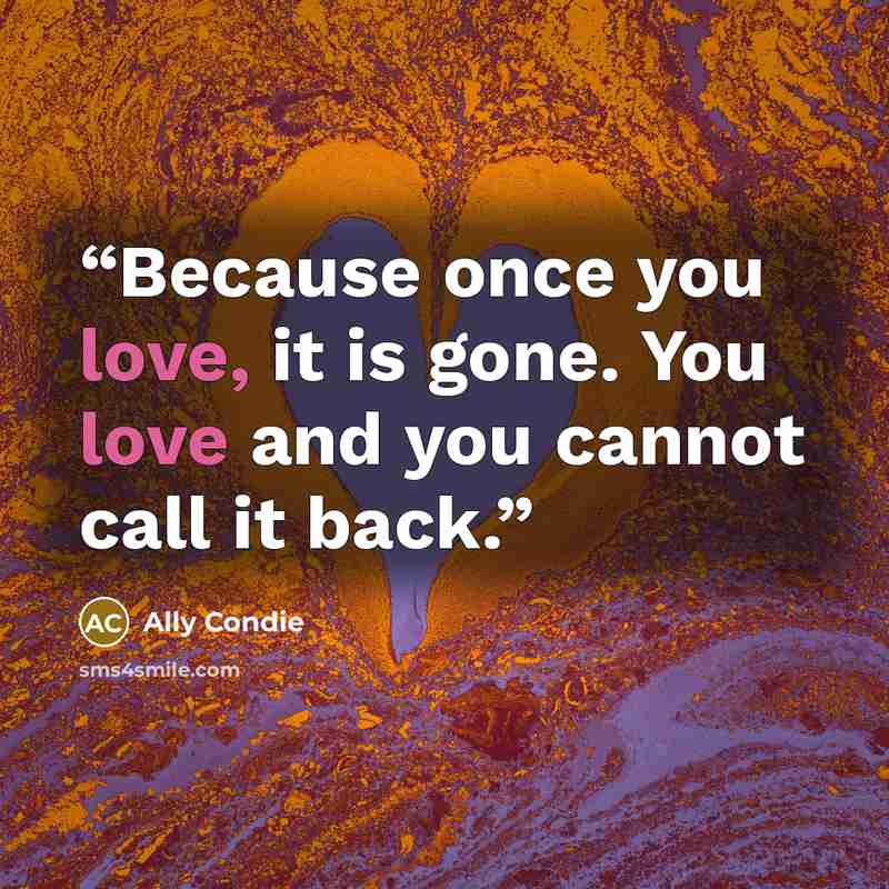 “Because once you love, it is gone. You love and you cannot call it back.” quote by Ally Condie