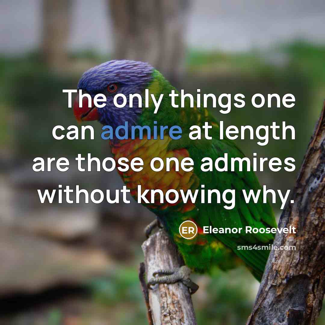 “The only things one can admire at length are those…” quote by Eleanor Roosevelt