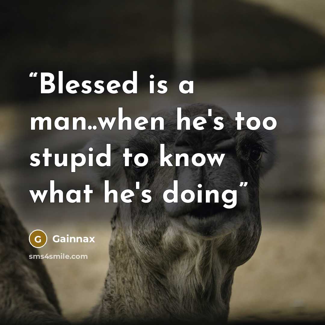 “Blessed is a man..when he's too stupid to know what he's doing” quote by Gainnax