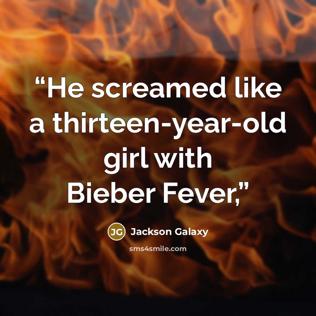 “He screamed like a thirteen-year-old girl with Bieber Fever,” quote by Jackson Galaxy