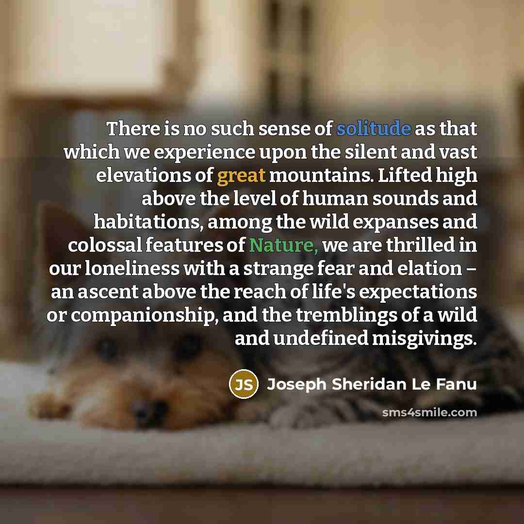 “There is no such sense of solitude as that which…” quote by Joseph Sheridan Le Fanu