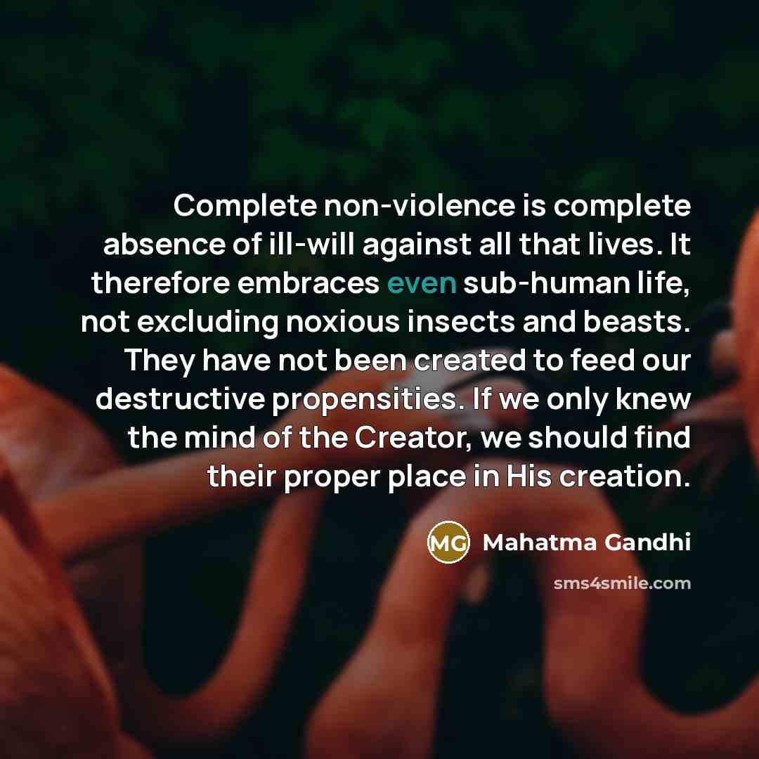 “Complete non-violence is complete absence of ill-will against all that…” quote by Mahatma Gandhi
