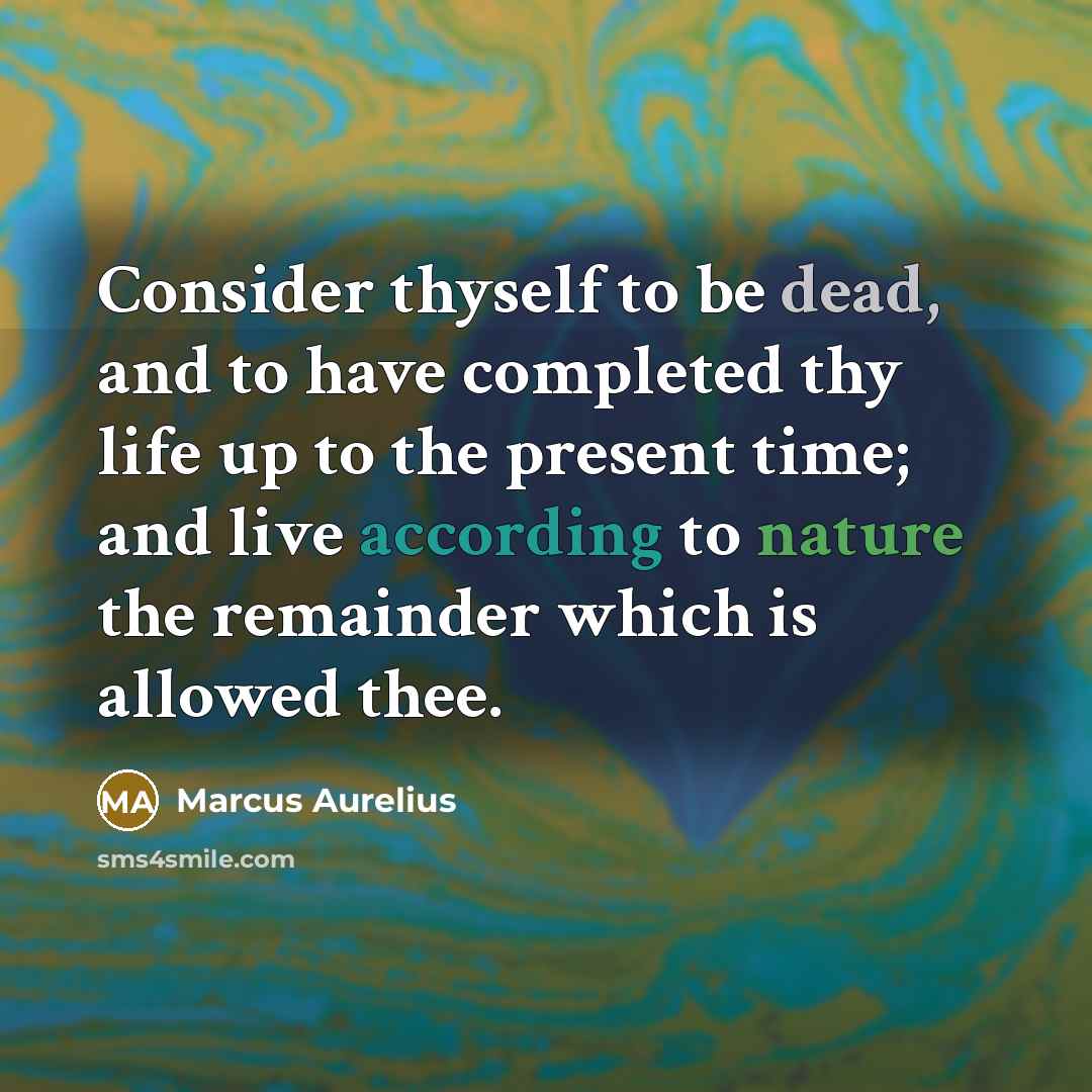 “Consider thyself to be dead, and to have completed thy life up to the present time; and live according to nature the remainder which is allowed thee.” quote by Marcus Aurelius