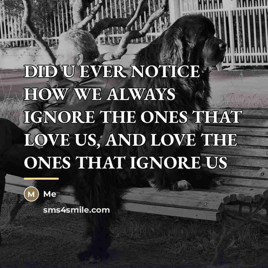 “DID U EVER NOTICE HOW WE ALWAYS IGNORE THE ONES…” quote by ME