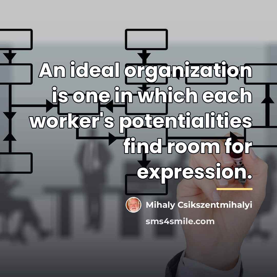 “An ideal organization is one in which each worker's potentialities…” quote by Mihaly Csikszentmihalyi