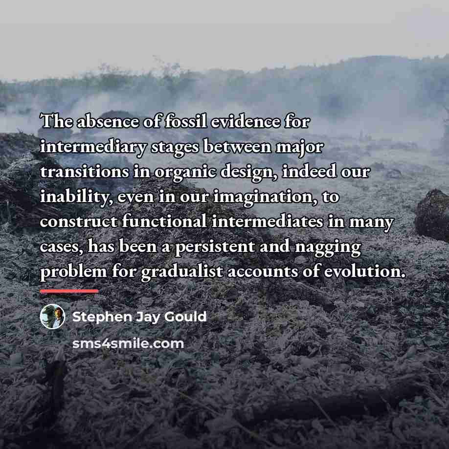 “The absence of fossil evidence for intermediary stages between major…” quote by Stephen Jay Gould