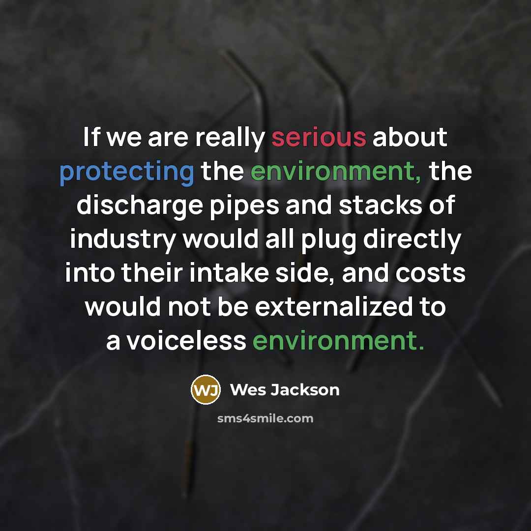 “If we are really serious about protecting the environment, the discharge pipes and stacks of industry would all plug directly into their intake side, and costs would not be externalized to a voiceless environment.” quote by Wes Jackson