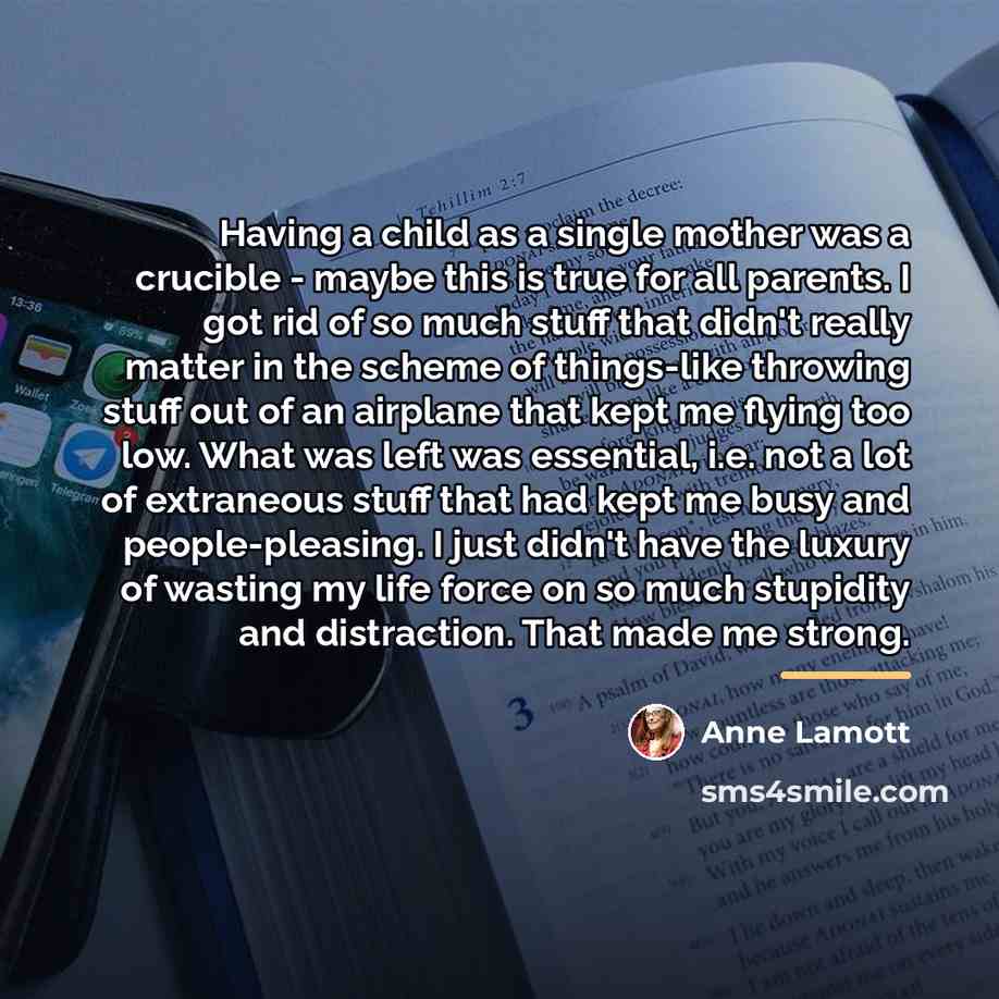 “Having a child as a single mother was a crucible…” quote by Anne Lamott