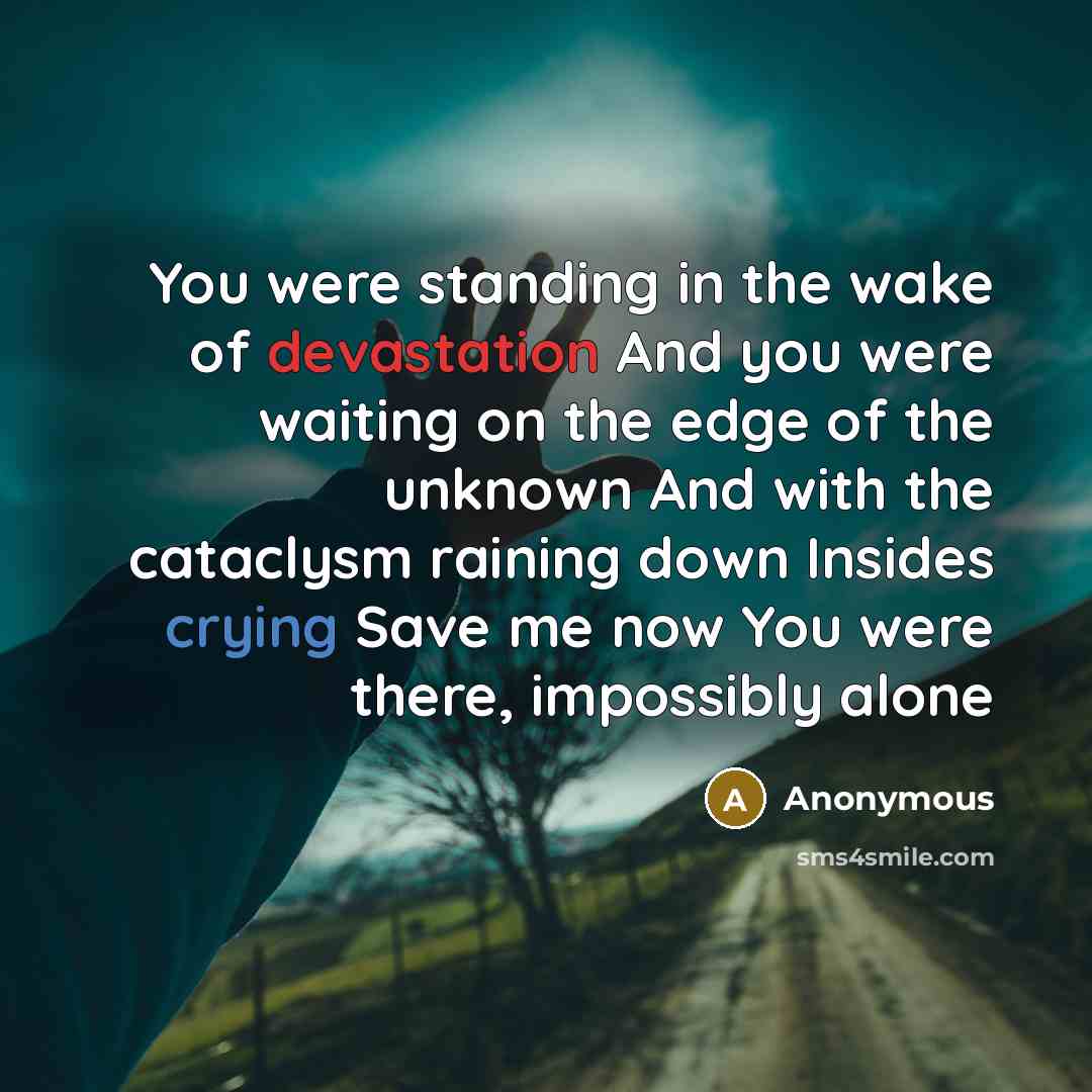 “You were standing in the wake of devastation And you were waiting on the edge of the unknown And with the cataclysm raining down Insides crying Save me now You were there, impossibly alone” quote by Anonymous