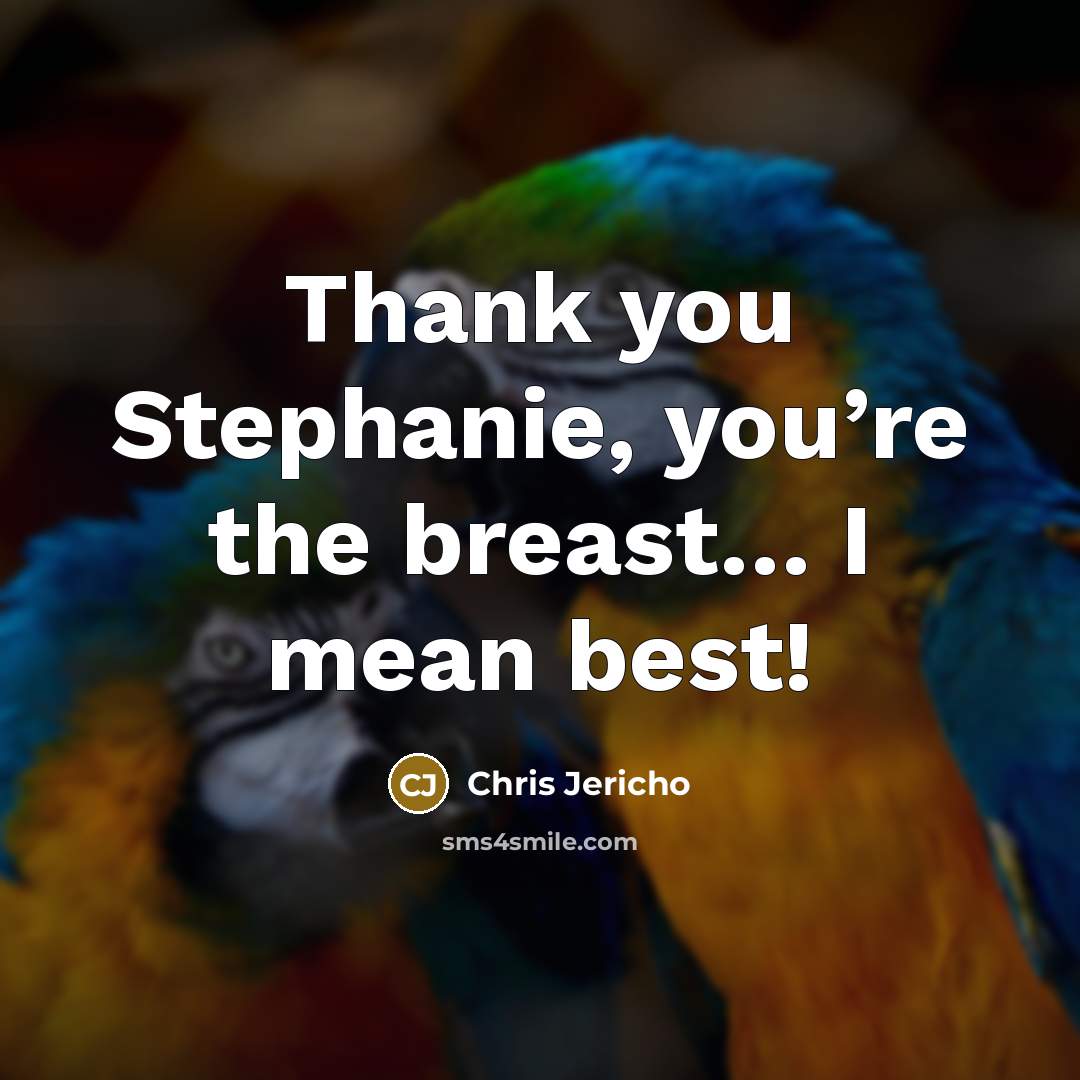 “Thank you Stephanie, you’re the breast… I mean best!…” quote by Chris Jericho