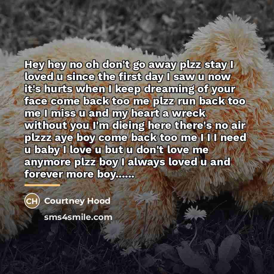 “Hey hey no oh don't go away plzz stay I…” quote by Courtney Hood
