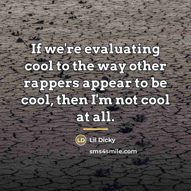 “If we're evaluating cool to the way other rappers appear…” quote by Lil Dicky