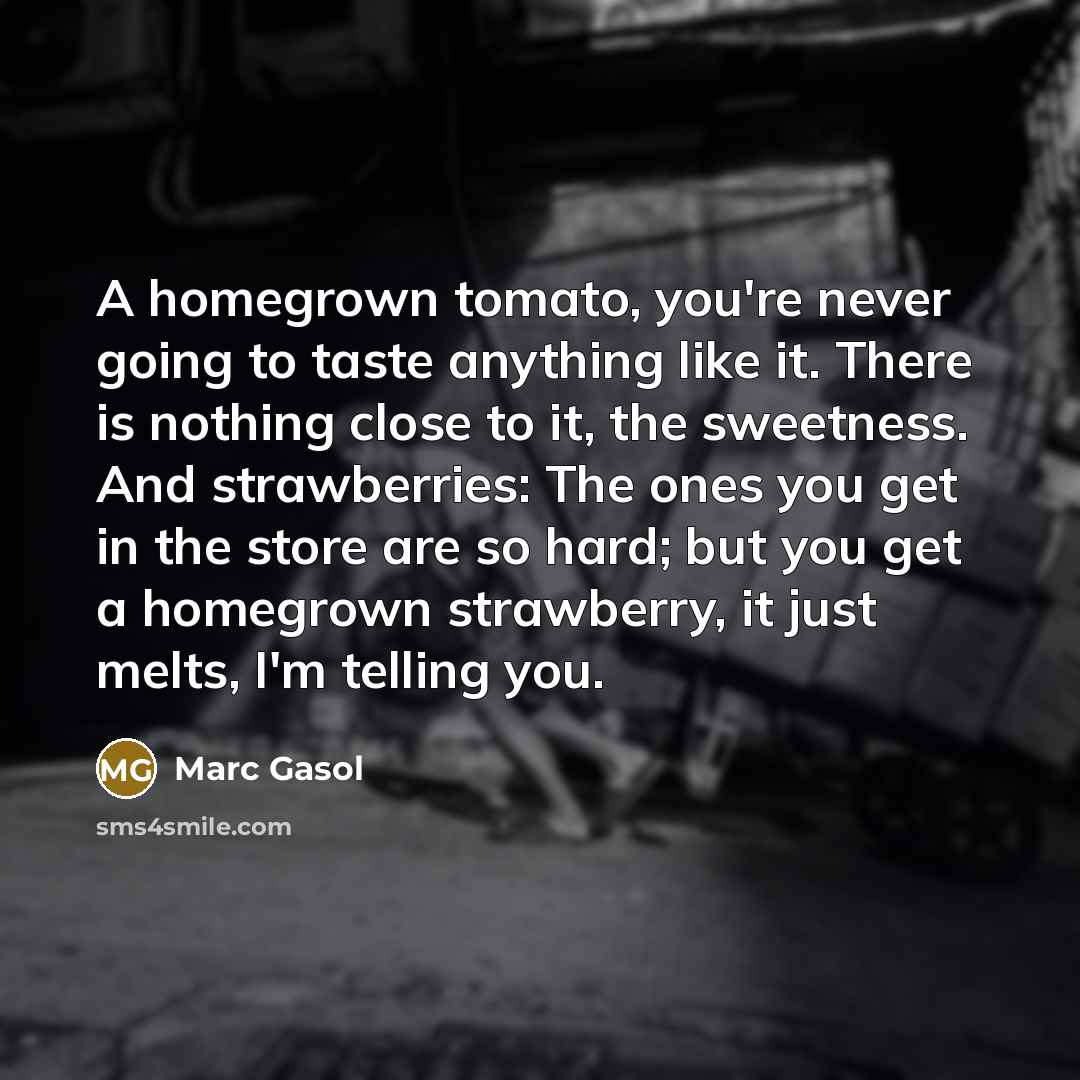 “A homegrown tomato, you're never going to taste anything like…” quote by Marc Gasol