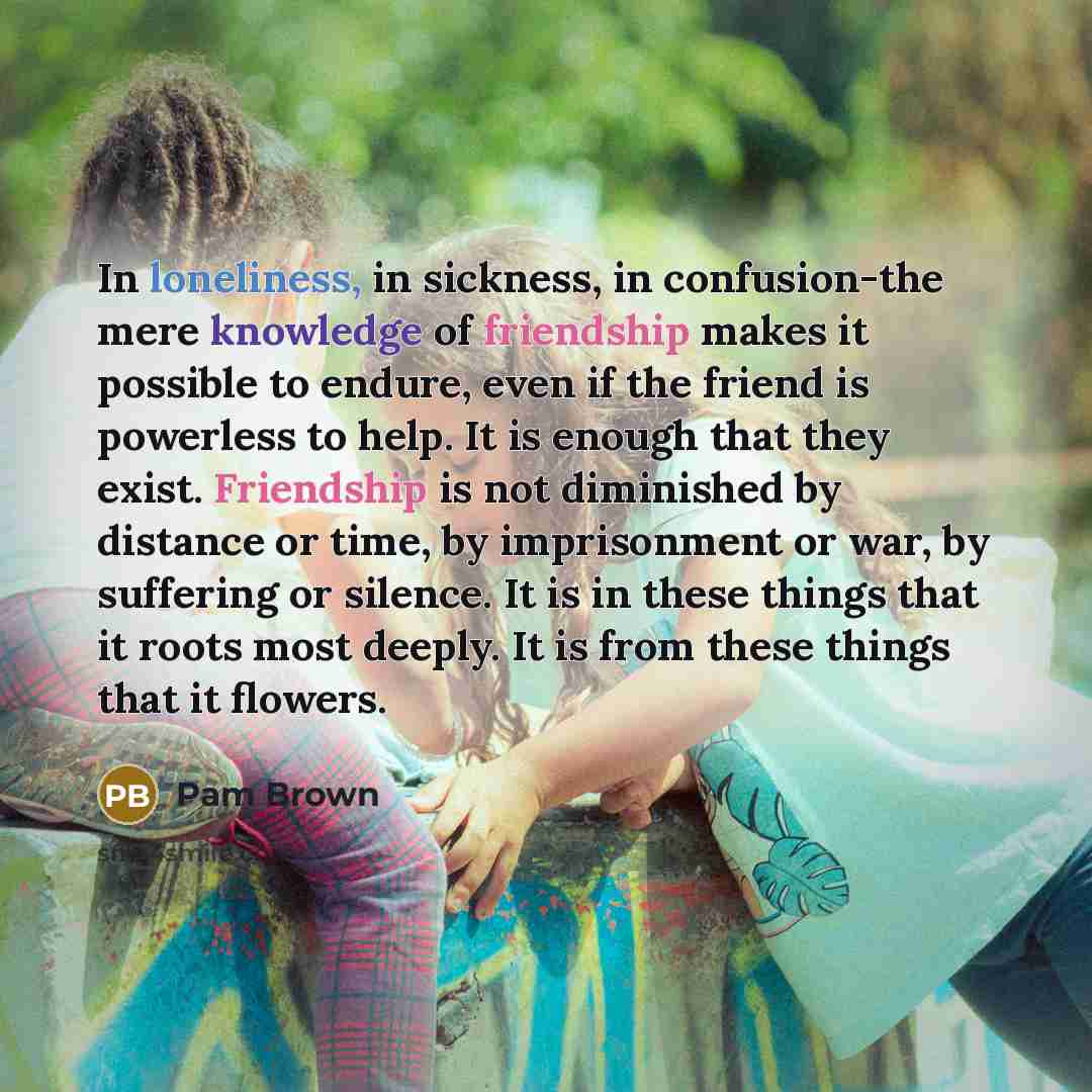 “In loneliness, in sickness, in confusion-the mere knowledge of friendship…” quote by Pam Brown