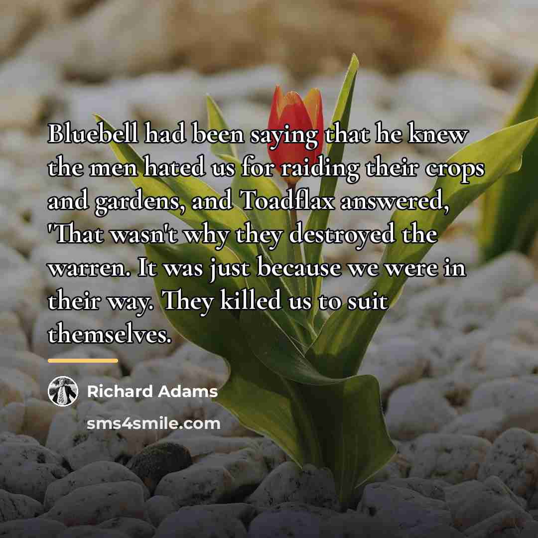 “Bluebell had been saying that he knew the men hated…” quote by Richard Adams