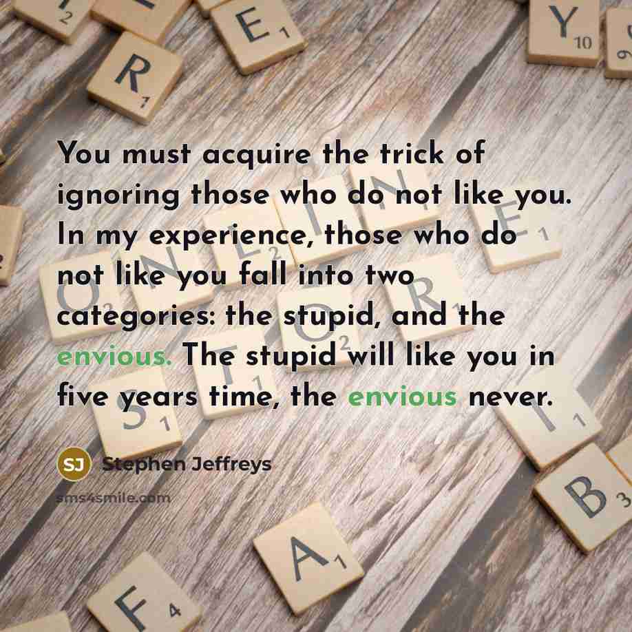 “You must acquire the trick of ignoring those who do not like you. In my experience, those who do not like you fall into two categories: the stupid, and the envious. The stupid will like you in five years time, the envious never.” quote by Stephen Jeffreys