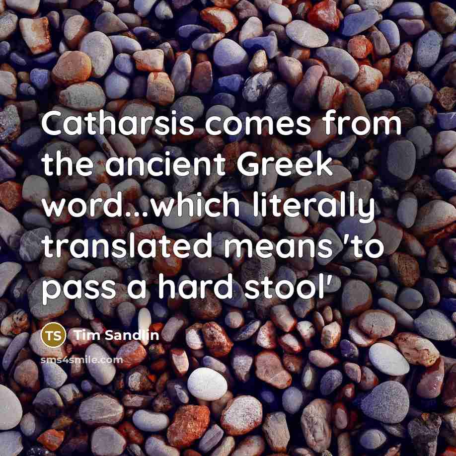 “Catharsis comes from the ancient Greek word...which literally translated means…” quote by Tim Sandlin