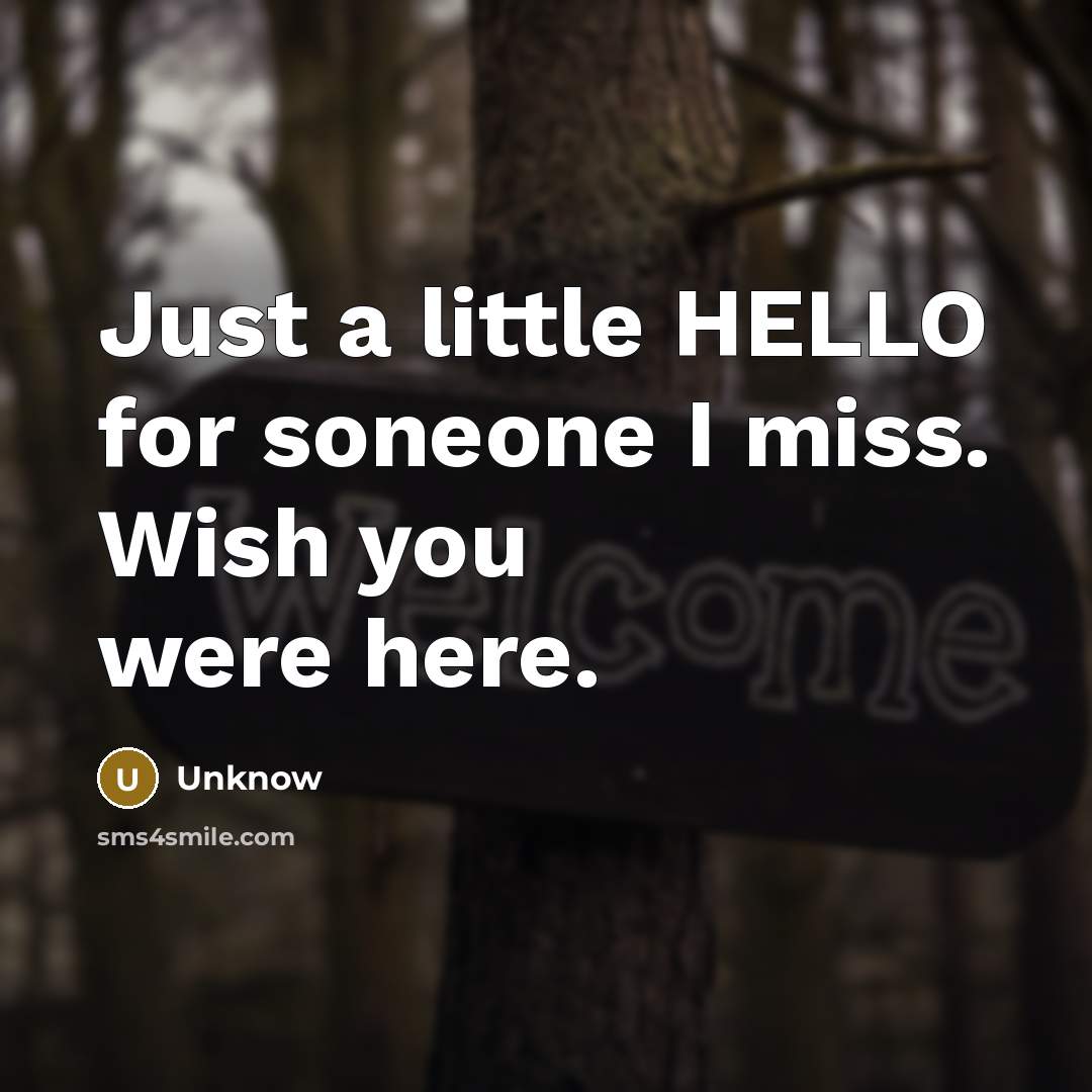 “Just a little HELLO for soneone I miss. Wish you were here.” quote by Unknow