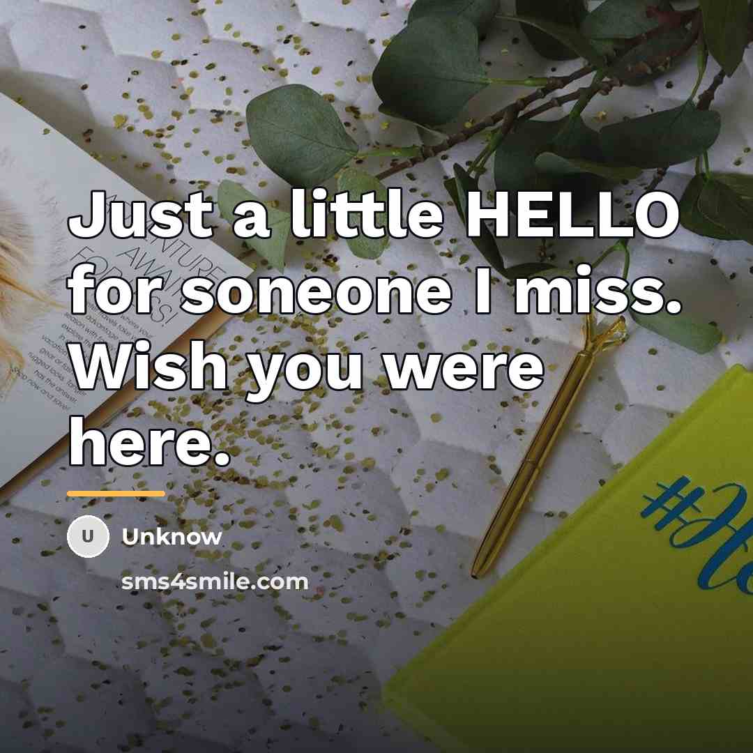 “Just a little HELLO for soneone I miss. Wish you…” quote by Unknow