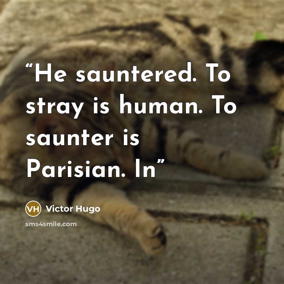 “He sauntered. To stray is human. To saunter is Parisian. In” quote by Victor Hugo
