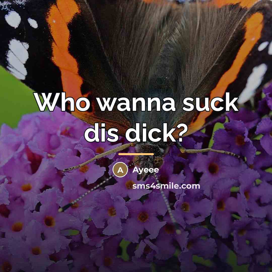 “Who wanna suck dis dick?…” quote by Ayeee