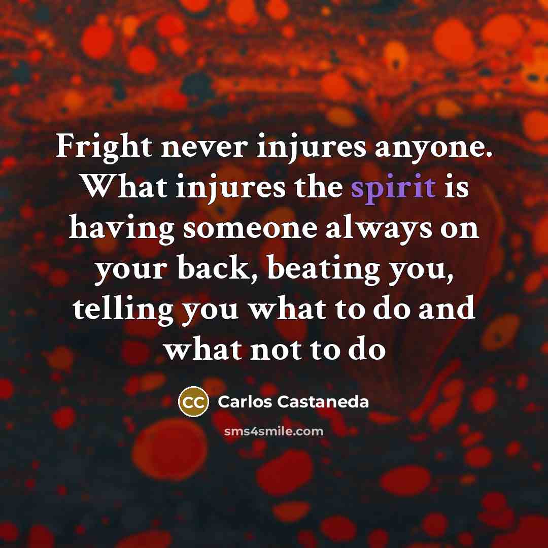 “Fright never injures anyone. What injures the spirit is having…” quote by Carlos Castaneda
