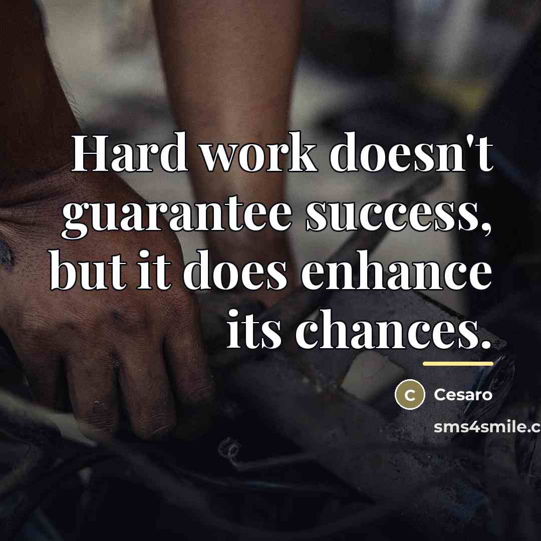 “Hard work doesn't guarantee success, but it does enhance its…” quote by Cesaro