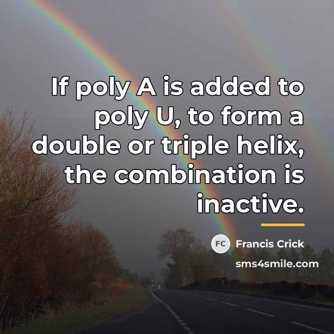 “If poly A is added to poly U, to form…” quote by Francis Crick