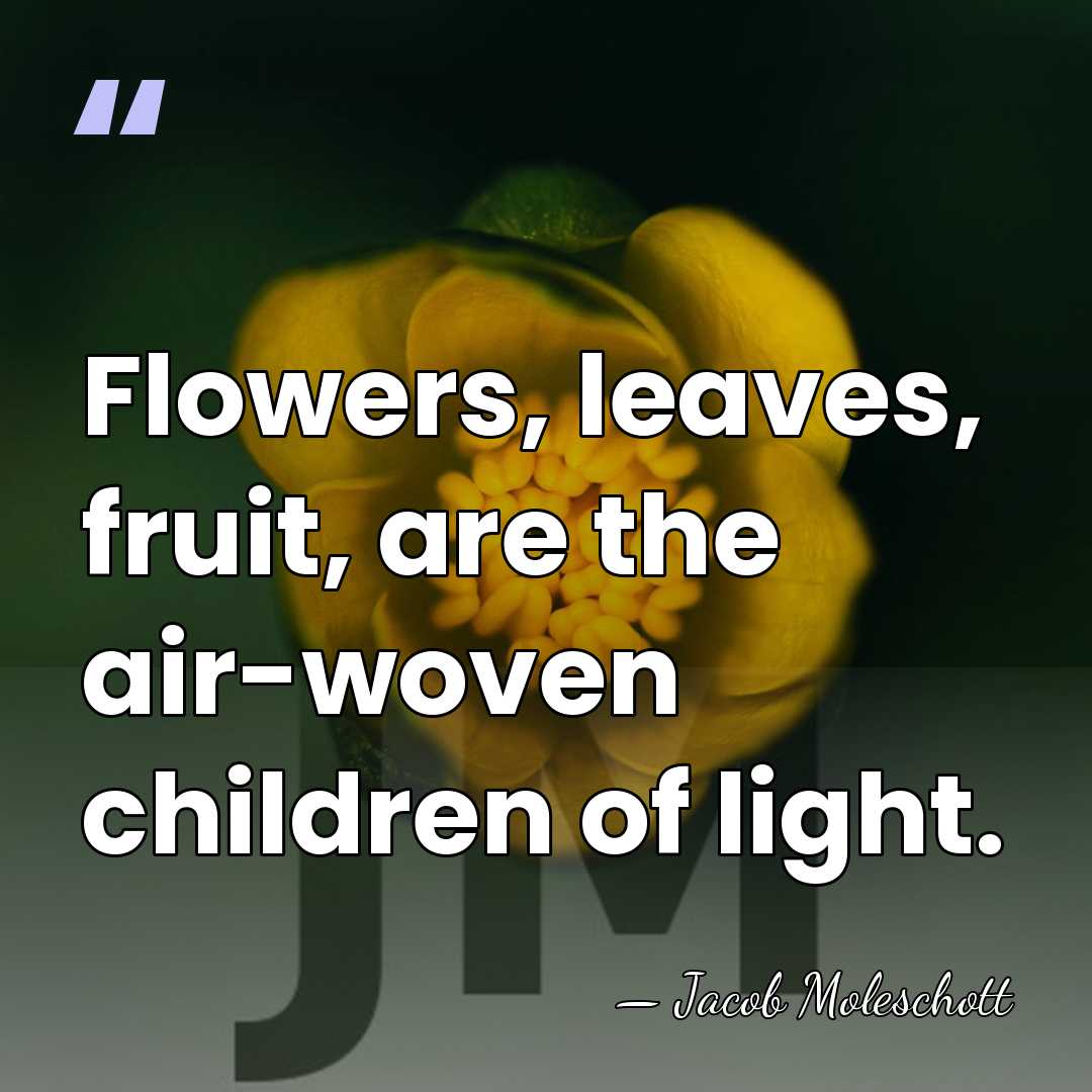 Flowers, leaves, fruit, are the air-woven children of light. - Jacob Moleschott