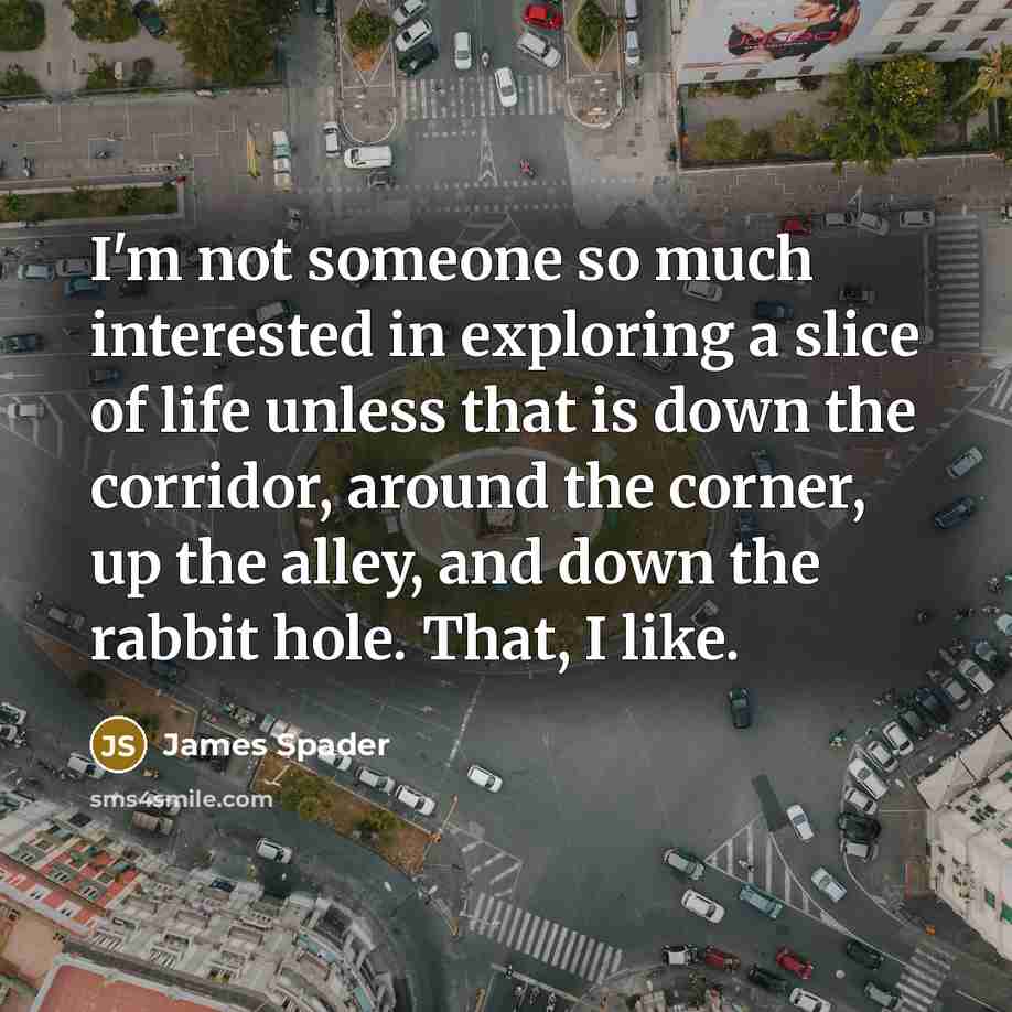 “I'm not someone so much interested in exploring a slice…” quote by James Spader