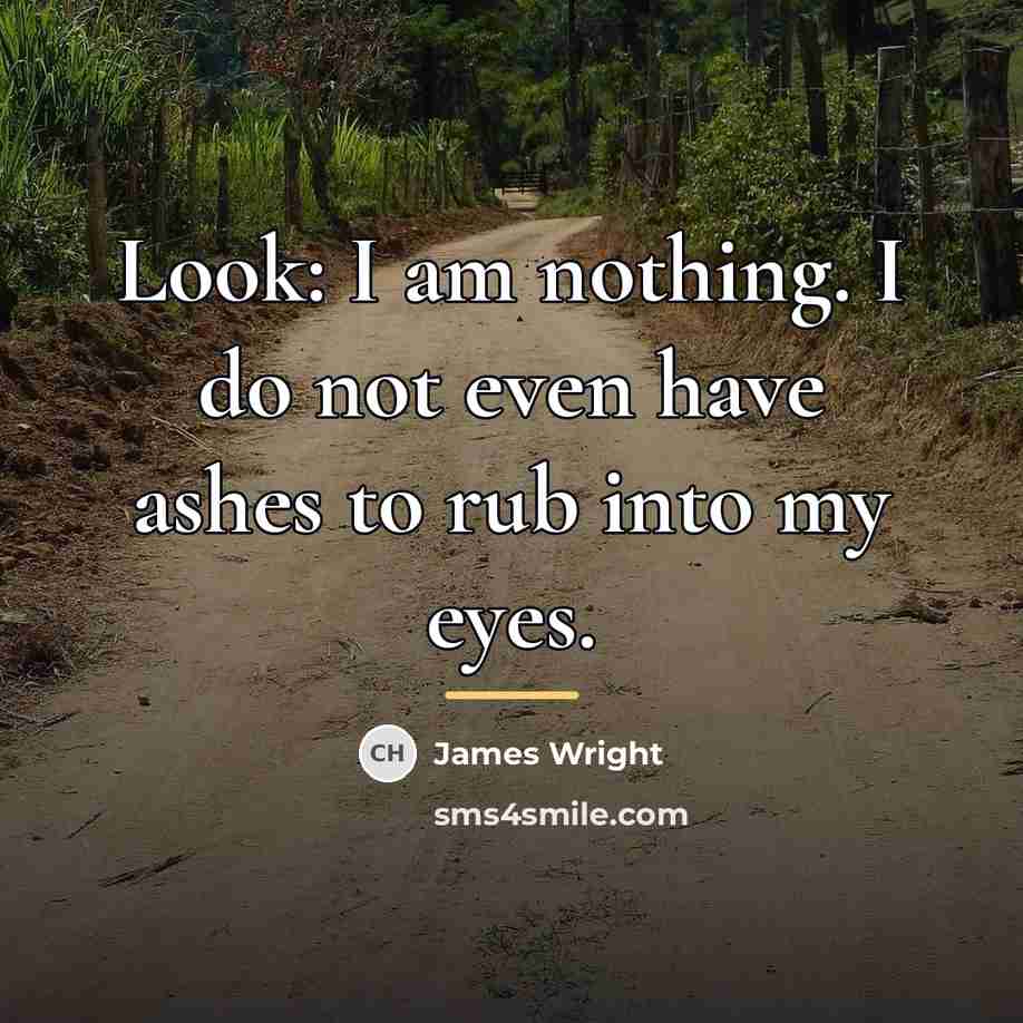 “Look: I am nothing. I do not even have ashes…” quote by James Wright