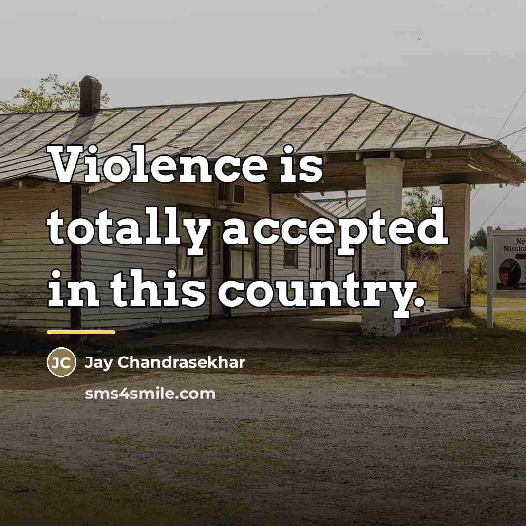 “Violence is totally accepted in this country.…” quote by Jay Chandrasekhar
