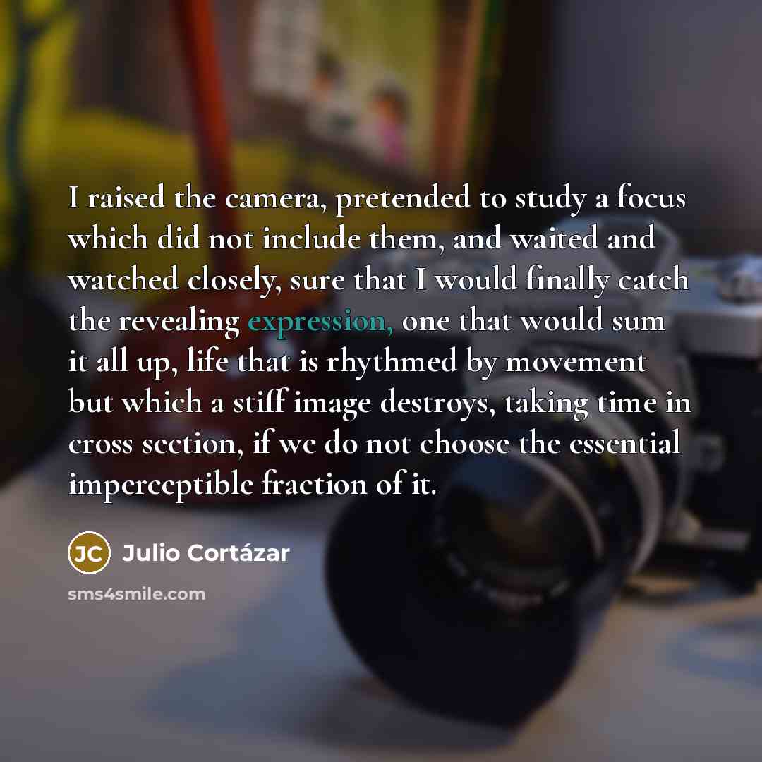 “I raised the camera, pretended to study a focus which…” quote by Julio Cortazar