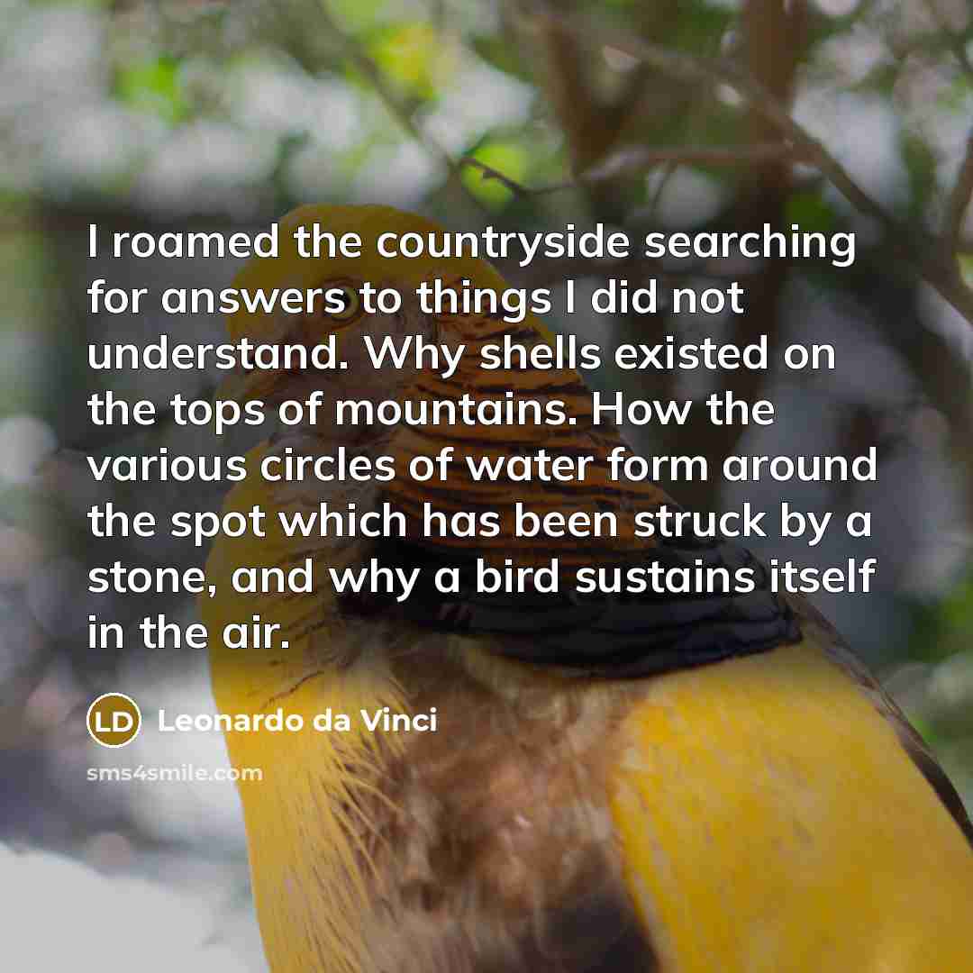 “I roamed the countryside searching for answers to things I…” quote by Leonardo da Vinci