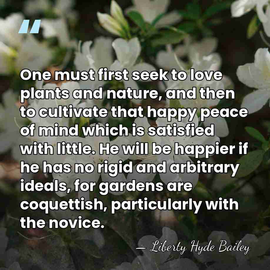One must first seek to love plants and nature, and then to&hellip; - Liberty Hyde Bailey