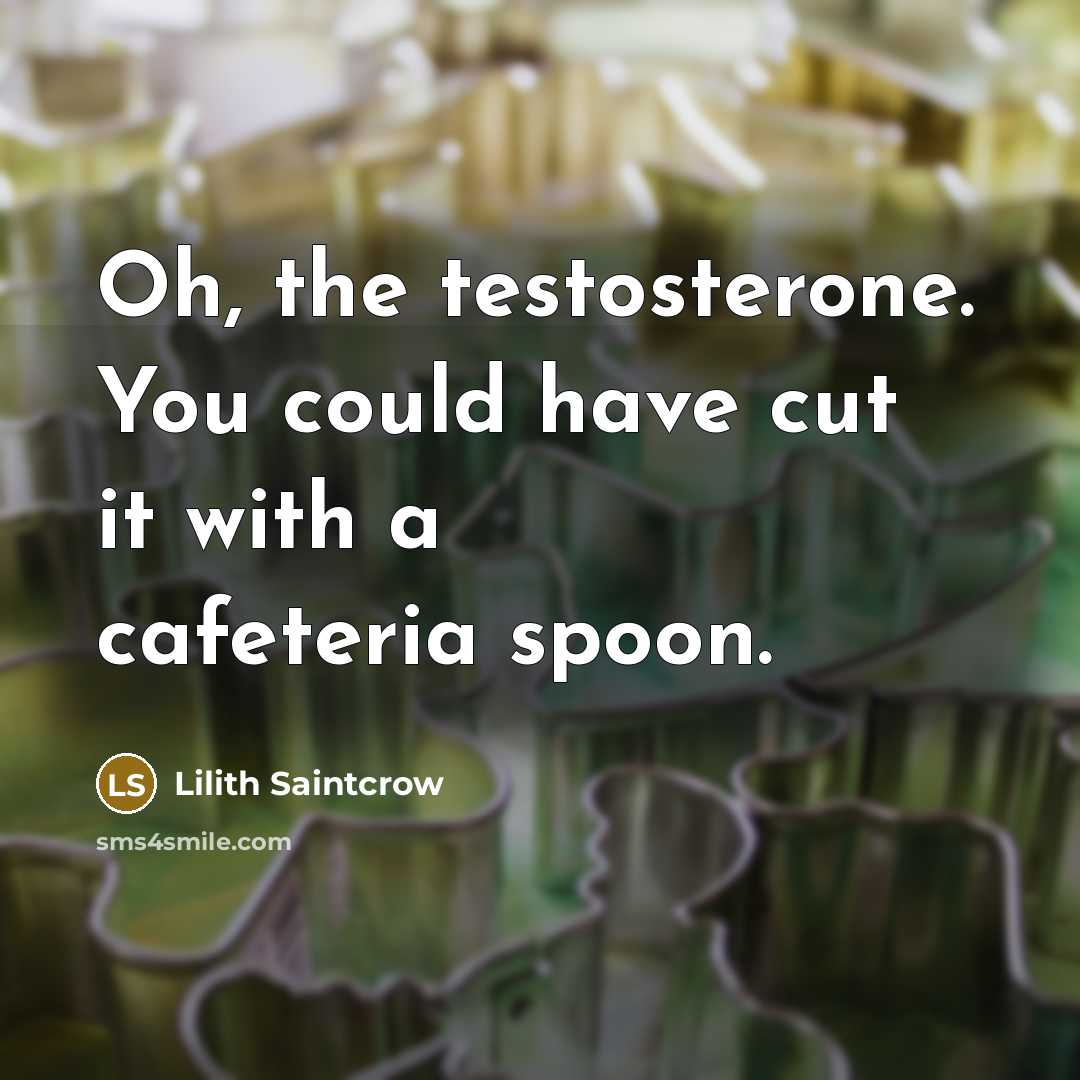 “Oh, the testosterone. You could have cut it with a…” quote by Lilith Saintcrow