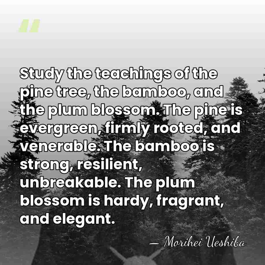 Study the teachings of the pine tree, the bamboo, and the plum&hellip; - Morihei Ueshiba