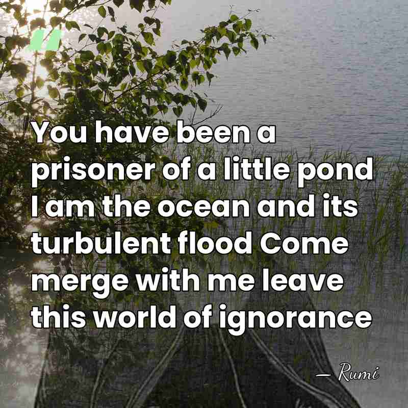 You have been a prisoner of a little pond I am the&hellip; - Rumi