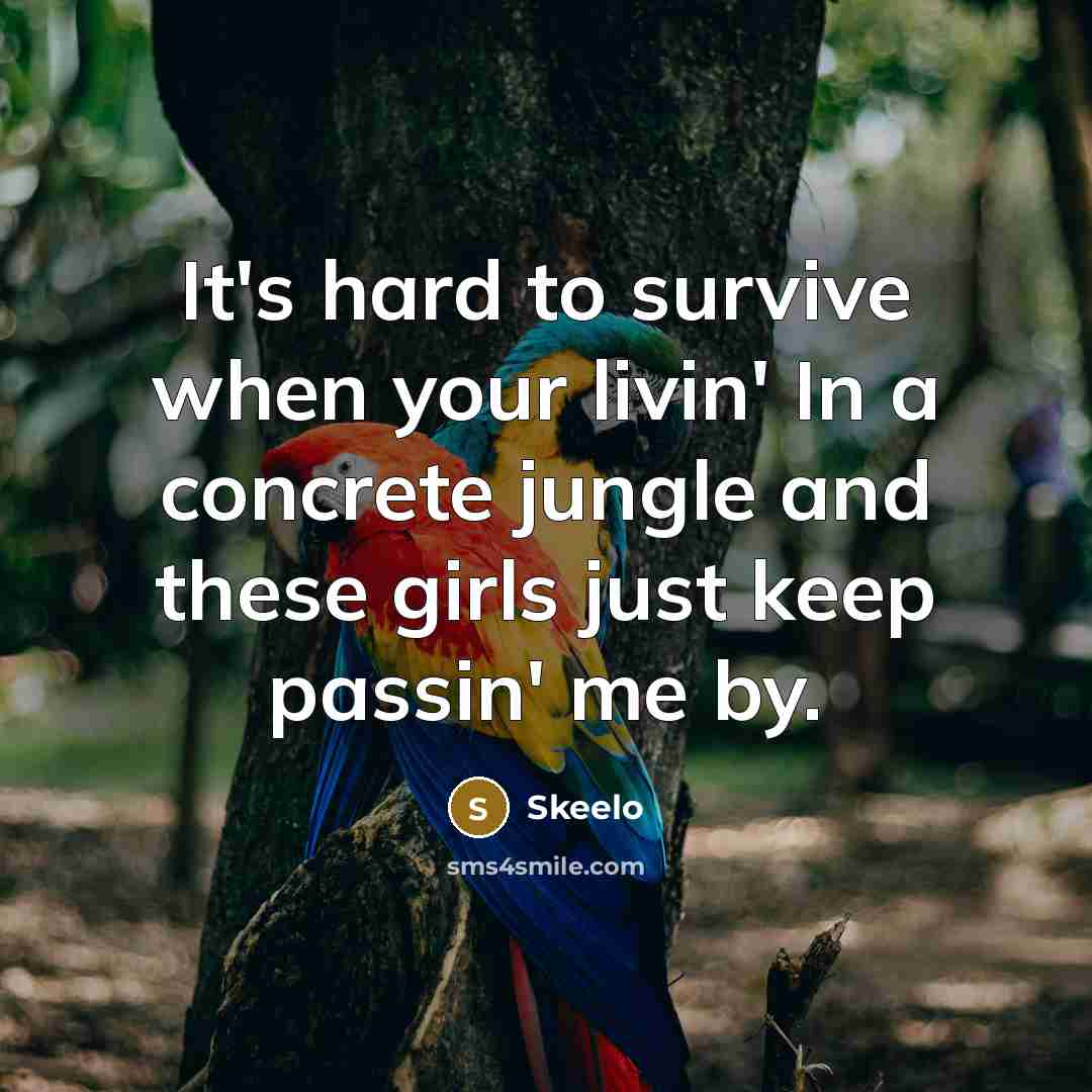 “It's hard to survive when your livin' In a concrete jungle and these girls just keep passin' me by.” quote by Skeelo