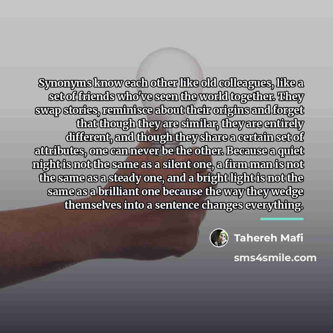 “Synonyms know each other like old colleagues, like a set…” quote by Tahereh Mafi