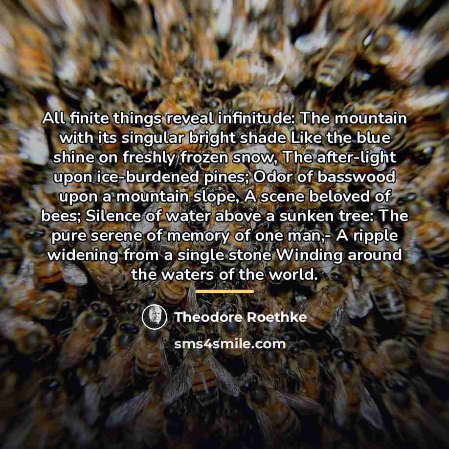 “All finite things reveal infinitude: The mountain with its singular…” quote by Theodore Roethke