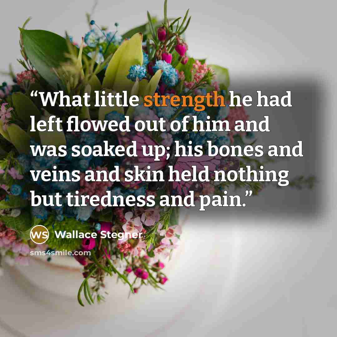 “What little strength he had left flowed out of him and was soaked up; his bones and veins and skin held nothing but tiredness and pain.” quote by Wallace Stegner