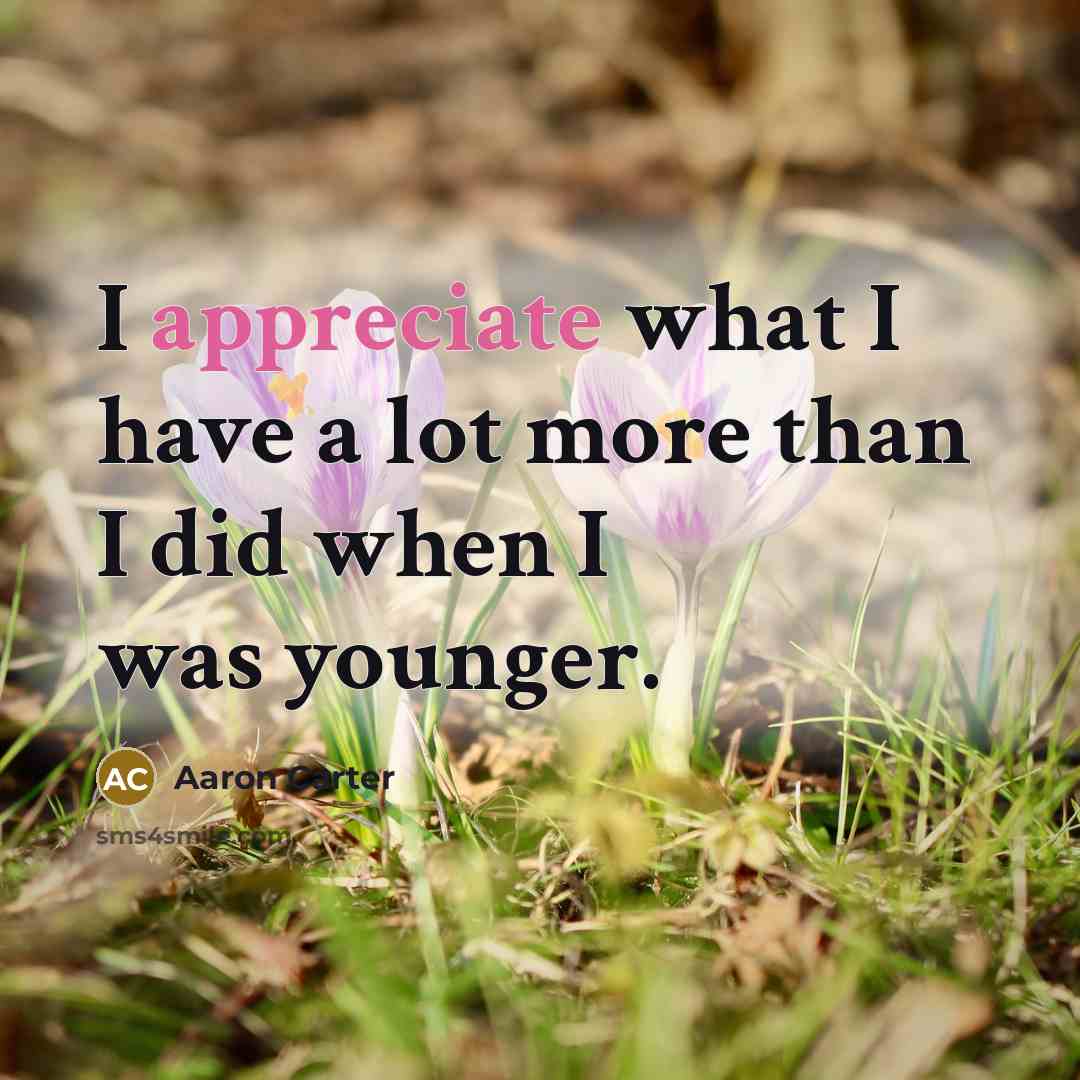 “I appreciate what I have a lot more than I…” quote by Aaron Carter