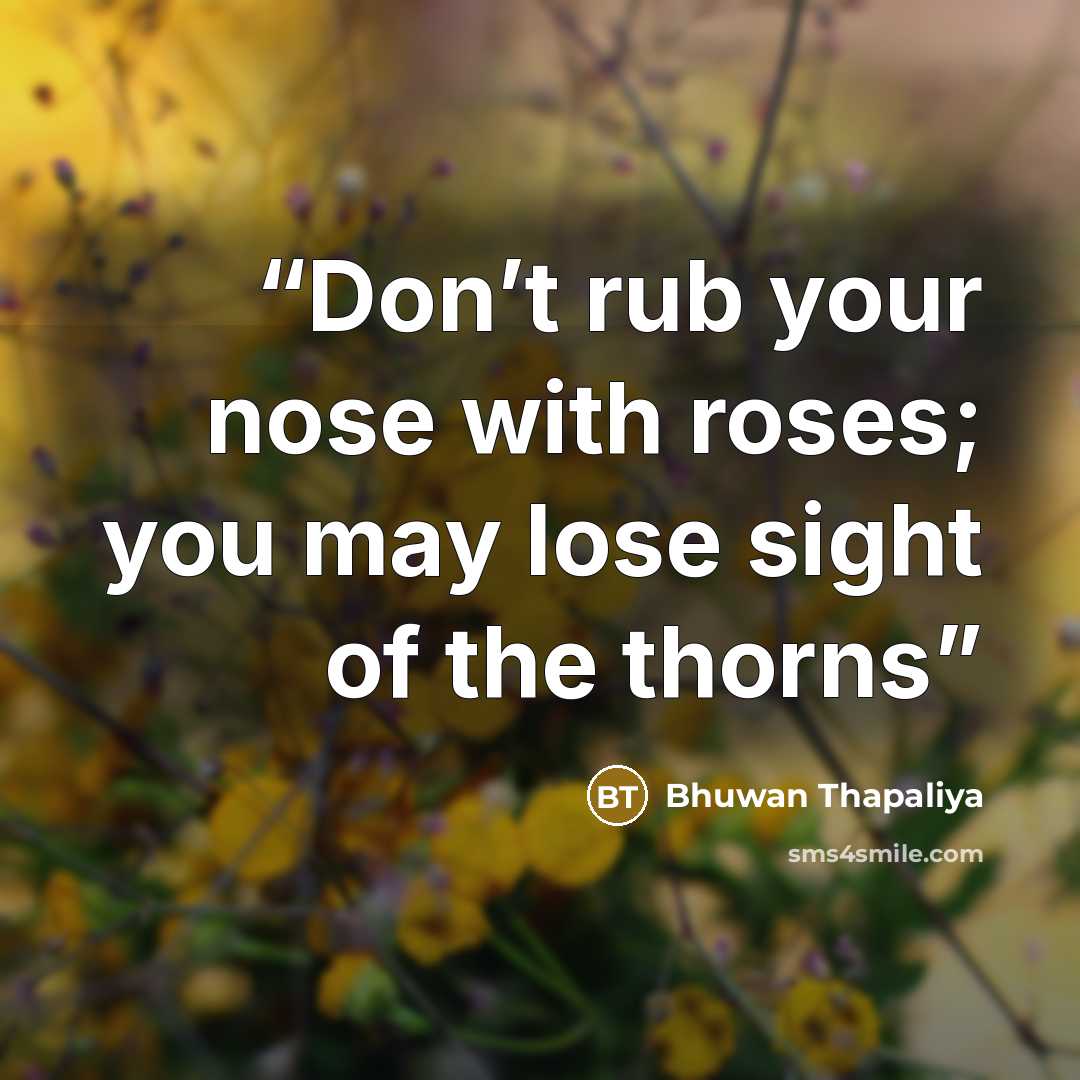 “Don’t rub your nose with roses; you may lose sight of the thorns” quote by Bhuwan Thapaliya