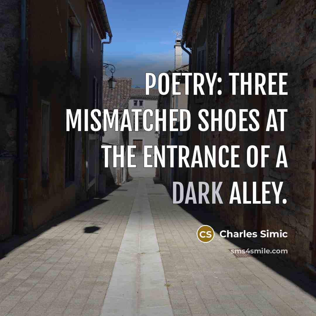 “Poetry: three mismatched shoes at the entrance of a dark alley.” quote by Charles Simic